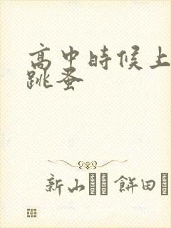 高中时候上课带跳蚤封面