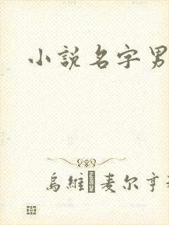 小说名字男生