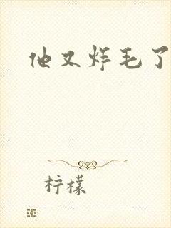 他又炸毛了封面