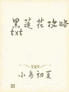 黑莲花攻略手册txt