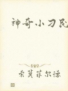 神奇小刁民