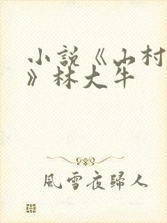 小说《山村情事》林大牛
