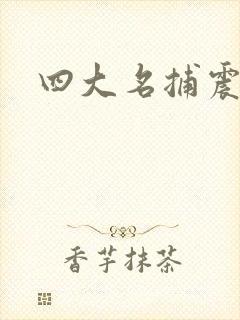 四大名捕震关东