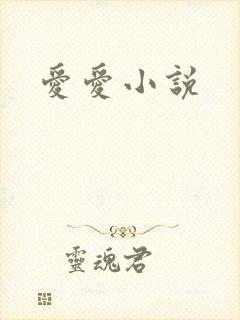 爱爱小说封面