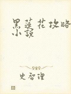 黑莲花攻略手册小说