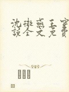 沈微燕王穿越小说全文免费阅读