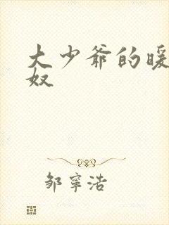 大少爷的暖床小奴