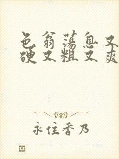 色翁荡息又大又硬又粗又爽电影