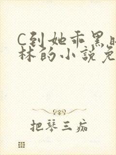 C到她乖黑暗森林的小说免费