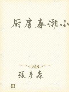 厨房春潮小说封面