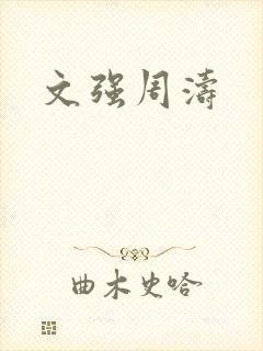 文强周涛