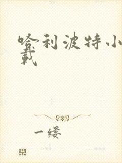 哈利波特小说下载封面