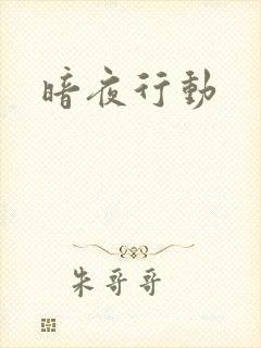 暗夜行动