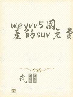 weyvv5国产的suv免费