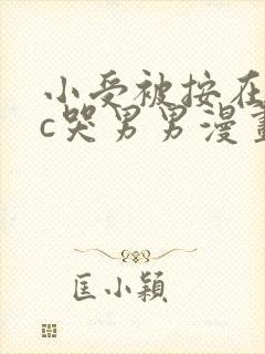 小受被按在墙上c哭男男漫画封面