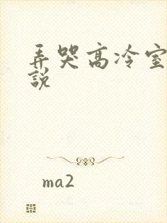 弄哭高冷室友小说