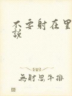 不要射在里面小说封面