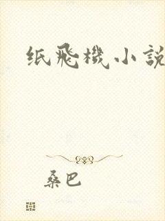 纸飞机小说