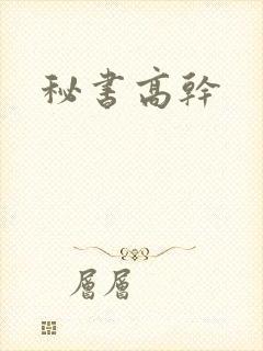 秘书高干