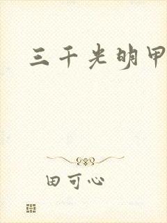 三千光明甲