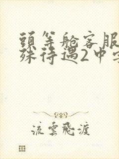 头等舱客服的特殊待遇2中字