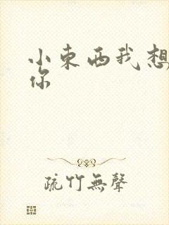 小东西我想弄坏你封面