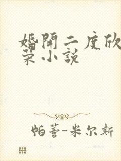 婚开二度欣欣向荣小说