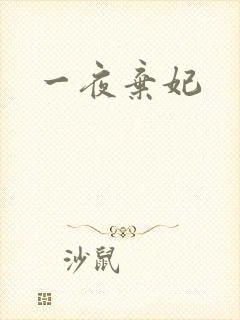 一夜弃妃