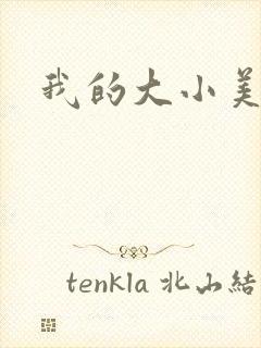 我的大小美女花封面