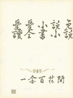 爱爱小说免费阅读全书小说乡村