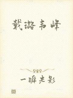 戴璐韦峰封面
