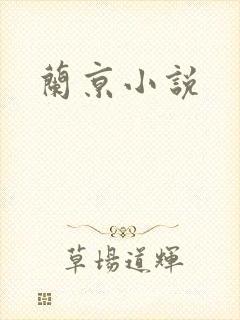 兰京小说