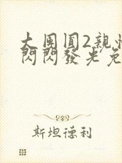 大团圆2亲情会闪闪发光免费