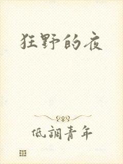狂野的夜