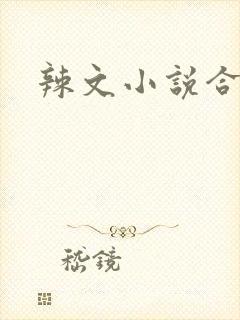 辣文小说合集