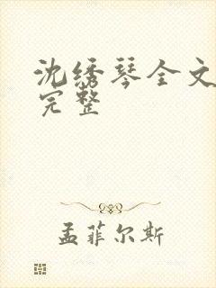 沈绣琴全文阅读完整封面