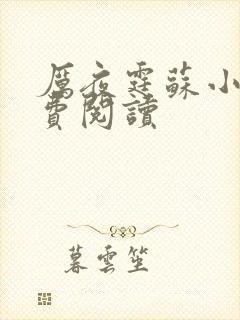 厉夜霆苏小汐免费阅读