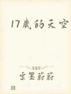 17岁的天空封面