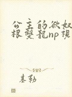 公主的欲奴h四根双龙np视频