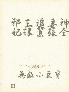 邪王追妻神医狂妃很嚣张全文免费