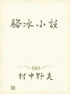 骆冰小说