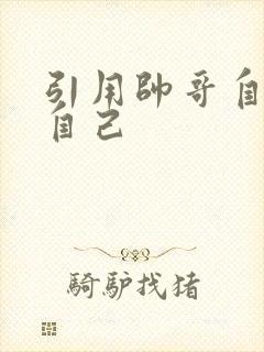 引用帅哥自己玩自己封面