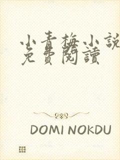 小青梅小说全文免费阅读封面