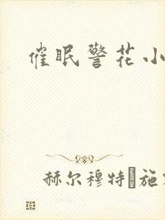 催眠警花小说