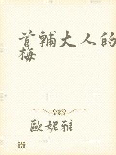 首辅大人的小青梅封面