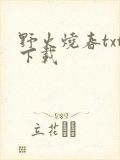 野火烧春txt下载