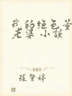 我的绝色董事长老婆 小说