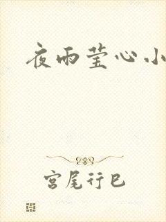 夜雨莹心小说