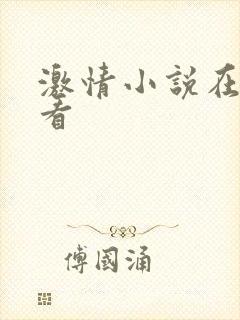 激情小说在线观看