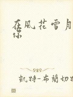在风花雪月里等你